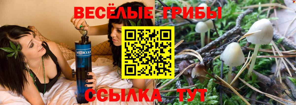Галлюциногенные грибы Psilocybe  Вход с VPN  купить  сайты  Галлюциногенные грибы прущие грибы  Спасск-Дальний 