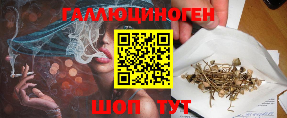 Псилоцибиновые грибы мухоморы Спасск-Дальний